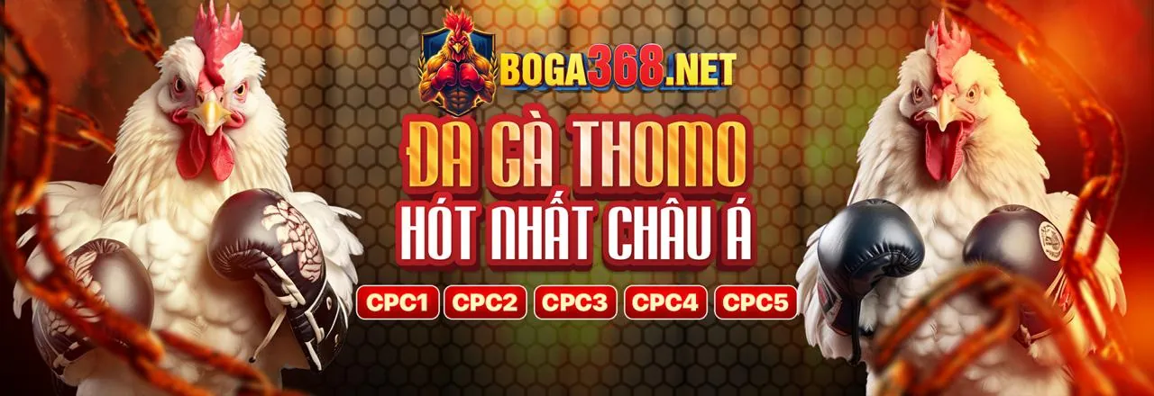 Đấu trường đá gà trực tuyến kịch tính tại xo88 link mới